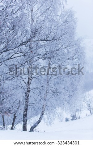 Beautiful mountain scenery in winter