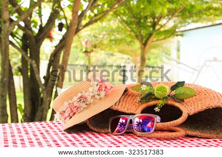 Picnic for a summer vacation