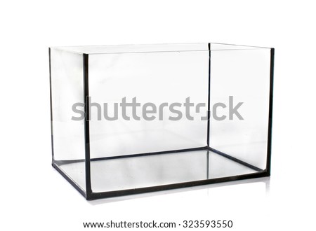 empty aquarium in front of white background