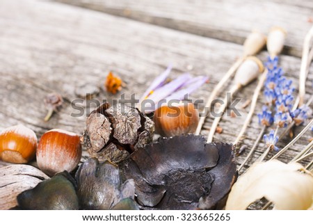 dry plants on rustic wooden, autumn background