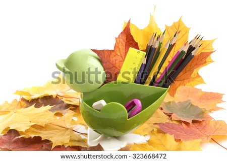 school accessories on a autumn leaves and white background