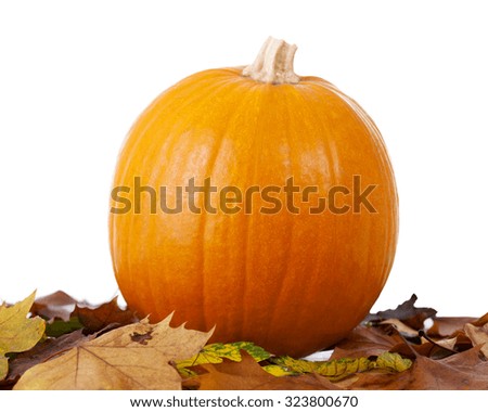 pumpkin on  white background with leaves