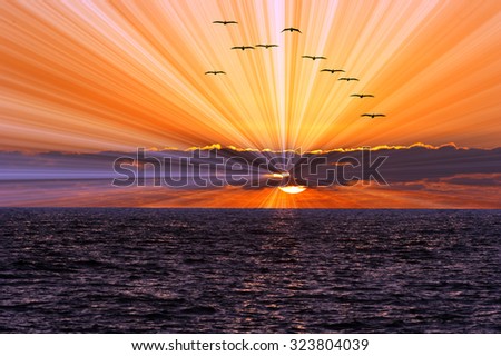 Sun ray ocean sunset is a bright burst of sun rays shooting out from behind the clouds as a flock of birds flies over head.