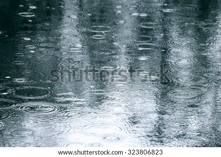 reflection of tree in water puddle on the sidewalk Royalty-Free Stock Photo #323806823