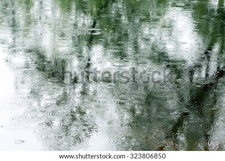 pool of water with drops of rain and trees reflection