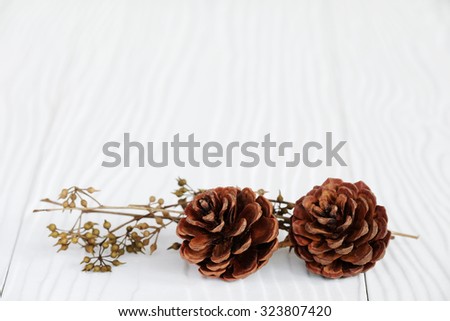 Pine cones on white wood background