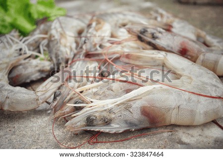 Fresh shrimp 