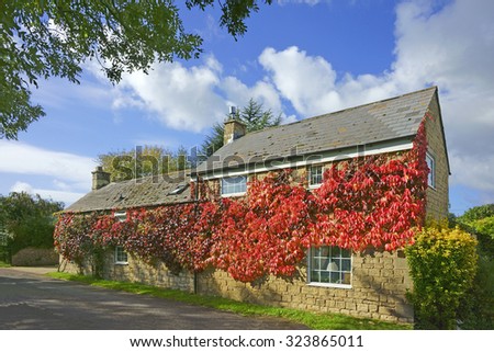 A Cotswold country cottage in Autumn covered with Virginia creeper, Gloucestershire, United Kingdom
