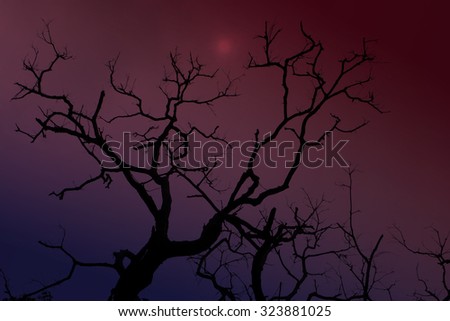 horrible branch on halloween day