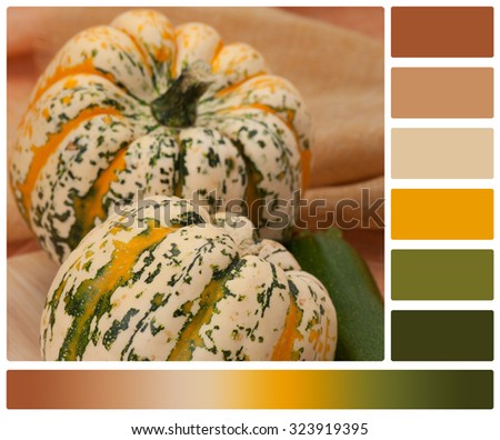 Organic Harlequin Squash. Zucchini. Wooden Board. Palette With Complimentary Colour Swatches.
