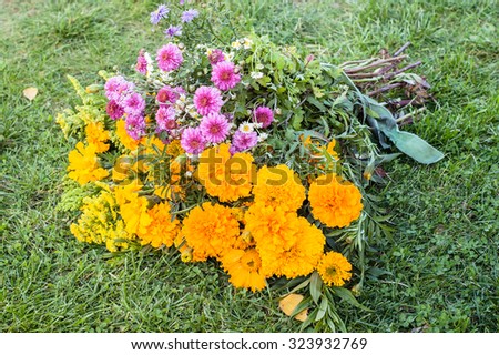 Bunch of flowers on a green grass background.