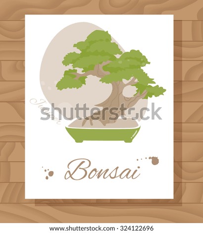 Bonsai. Card on wooden texture. Vector illustration. juniper