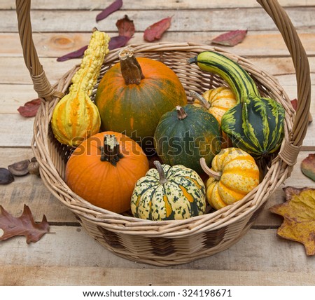 Basket of an assortment of colorful gourds on a rustic wood surface