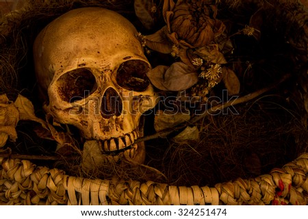 Last thing, still life photography with skull and dry leaves