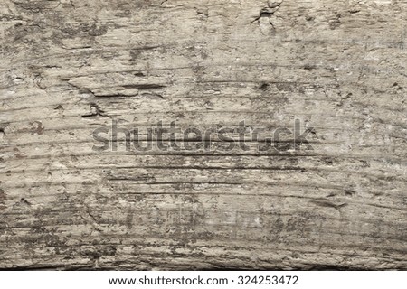 Old weathered wood texture close-up as background.