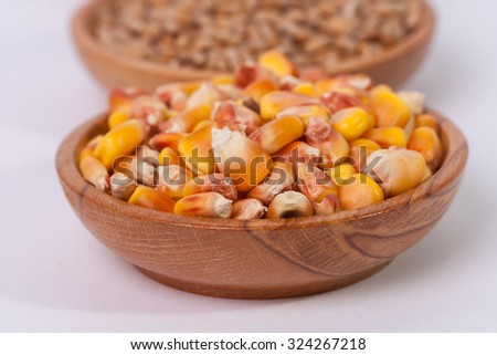 Barley, wheat, corn beans. Grains of malt close-up. Barley on sacking background. Food and agriculture concept.