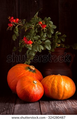 Autumn pumpkin with branches of rosehips on wooden background. Selective focus.