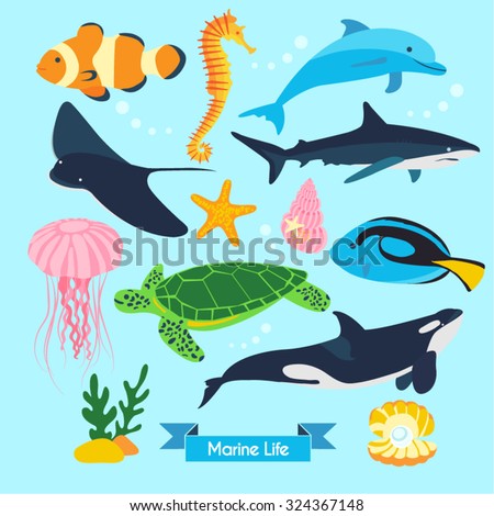 Marine Life Vector Design Illustration