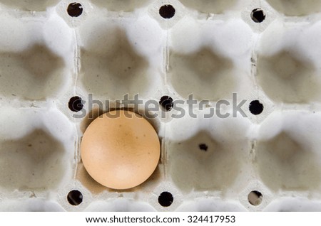 Egg, Chicken Egg,soft focus
