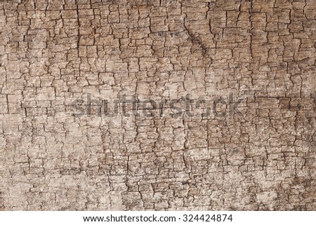 Background texture old  wooden board.