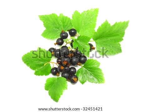 Black currant with leaf  on white background. Isolated.