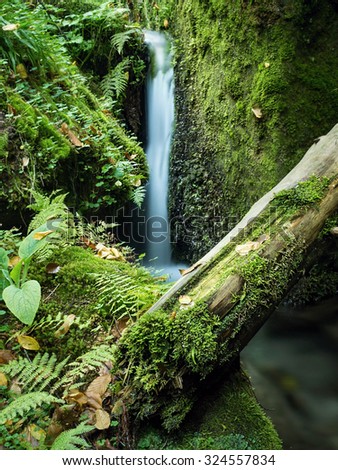 Creek with waterfall