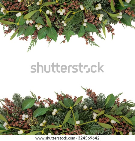 Mistletoe and winter flora background border with  ivy, blue spruce and cedar cypress   leaves with pine cones over white.