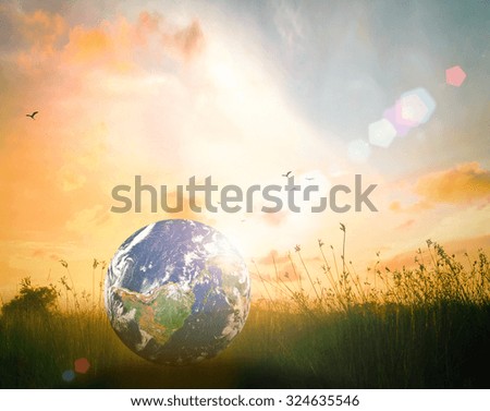 Earth day concept: Globe resting on beautiful meadow with colorful golden autumn sunset background. Elements of this image furnished by NASA. 
