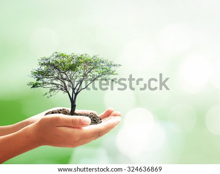Go green concept: Human hands holding big growth tree over blurred nature background Royalty-Free Stock Photo #324636869