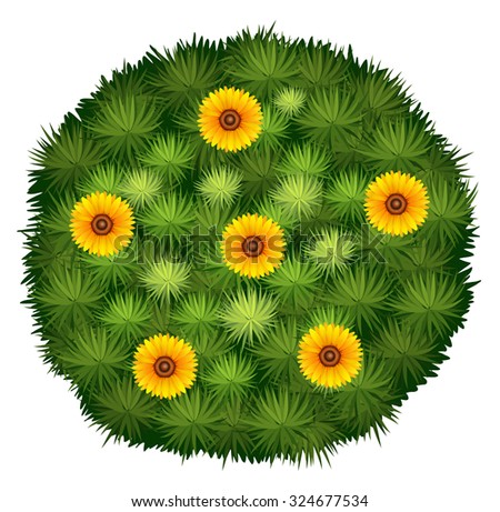 Round bush with yellow flower illustration