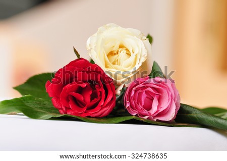 Three roses color Royalty-Free Stock Photo #324738635