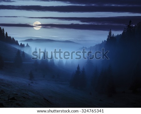 early autumn landscape. fog from conifer forest surrounds the mountain top at night in full moon light Royalty-Free Stock Photo #324765341