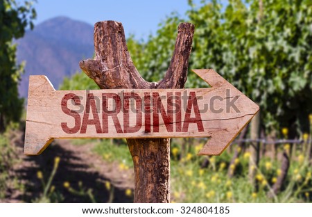 Sardinia wooden sign with winery background