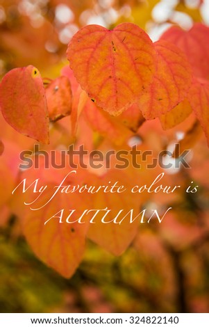 Autumn botany background