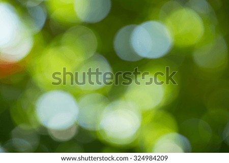 Sunny abstract green nature background