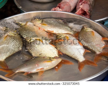 Fresh fish in the market ,Vietnam