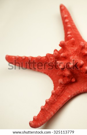 Red Starfish on white background       