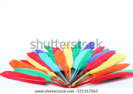 Colorful feathers isolated on white background