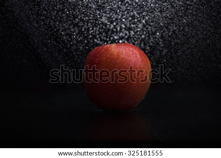 One ripe tasty beautiful seasoning berry fruit of red yellow wet apple with water spray lying in studio on black background, horizontal picture