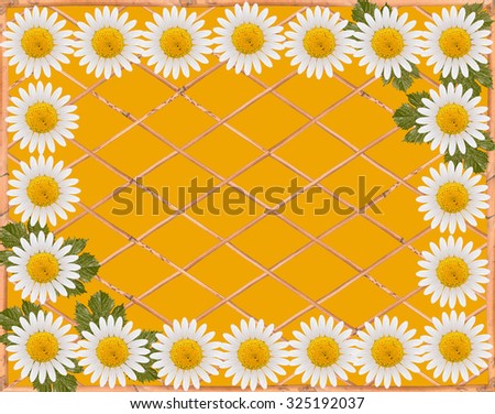 Chamomile flower on a postcard. Against the background of a wooden lattice.