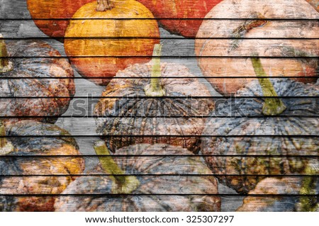 Different autumnal pumpkins painted on wooden background