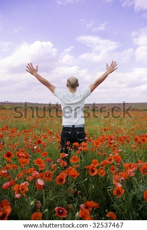 Male in a poppy field