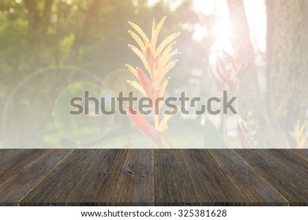 Wood terrace and Beautiful Bird of paradise flowers soft focus and bright light pink color tone filtered background