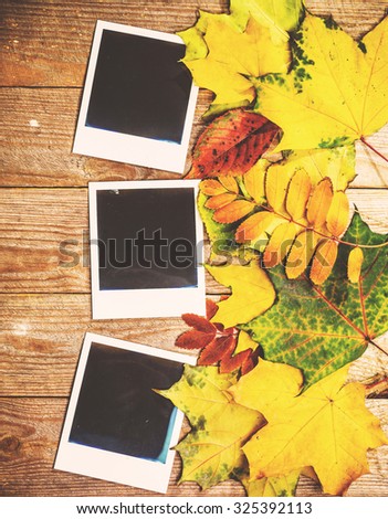 Autumn background with colorful leaves on rustic wooden board. Creating fall season memories with retro photo cards of photo frames. Thanksgiving and Halloween holidays concept. Copyspace