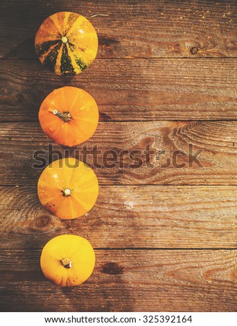 Autumn background with pumpkins on rustic wooden board. Thanksgiving and Halloween holidays concept. Harvest rural fall season. Space for your text.