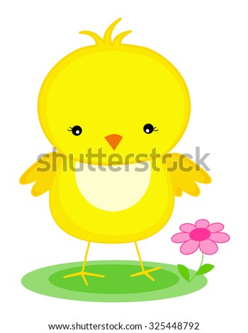 Cute little yellow chick / chicken isolated on white background