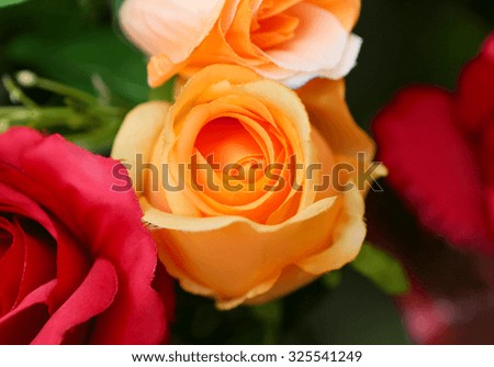 Colorful artificial roses flowers