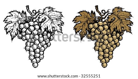 Wine Grape - Sepia, Black & White