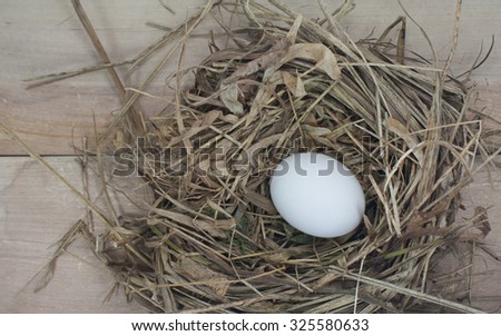Still Life- eggs in a nest of hay. On the old wooden floor. White shell eggs.