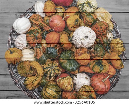 A lot of different autumnal pumpkins in full basket painted on wood